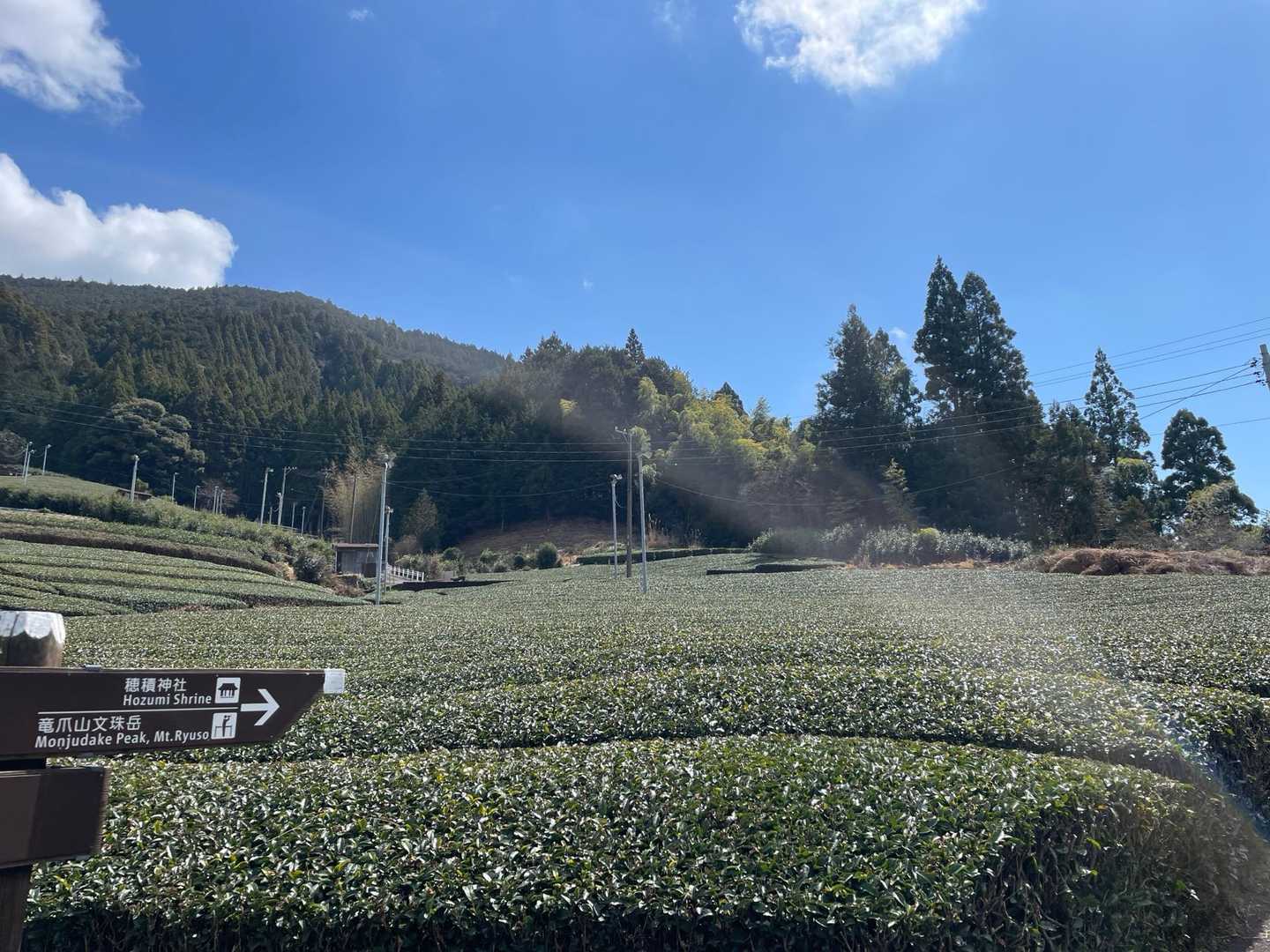 楽しい山歩をありがと〜☀️