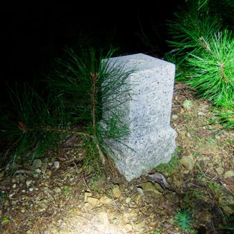 ピークとも言えないところに三角点がありました。なぜ？