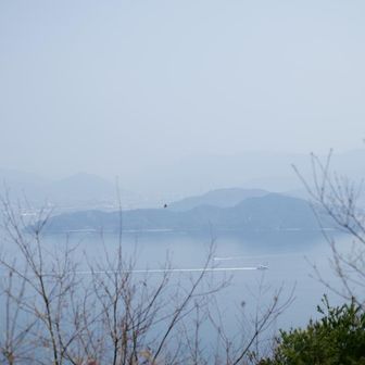 のどかですね～