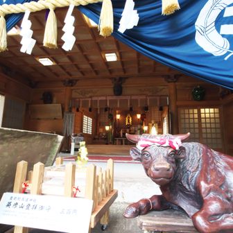 高住神社。なんか色気を感じる牛ですね😄
