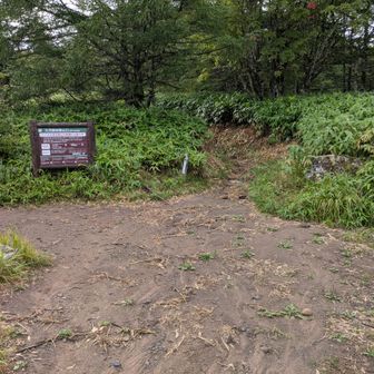 大河原峠から登り出します。早朝にも関わらす結構な車が止まっていました。ほとんどうかたが蓼科山方面のようです