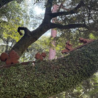 再度公園に着くと、こんなところにリスさん！🐿️