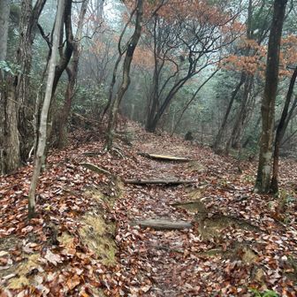 体幹も鍛えないとなー