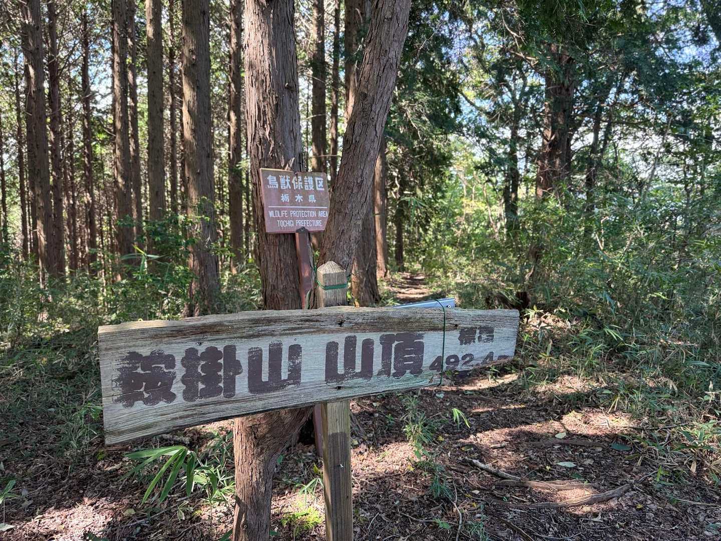 たっぷり2時間ゆっくりしたので下山開始。鞍掛山を通過🥾