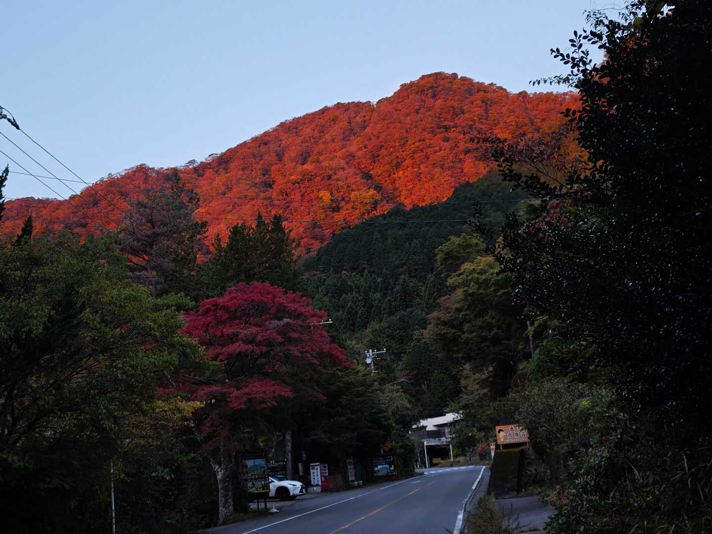 明け方5:30頃到着。無料の『金時公園駐車場』はほぼ満車でした。ここから「乙女峠登山口」まで歩きます。朝日に照らされた山が赤く燃えるようです。