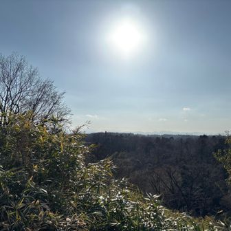 富士山🗻は見えず‥