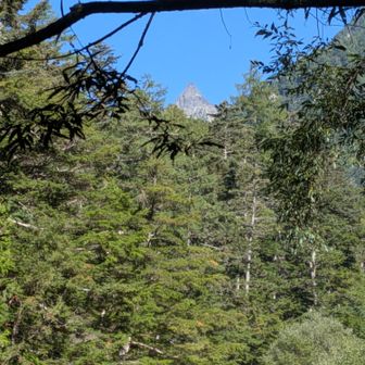 こんな所から
穂先が…⛰️
(ﾟ∀ﾟ)