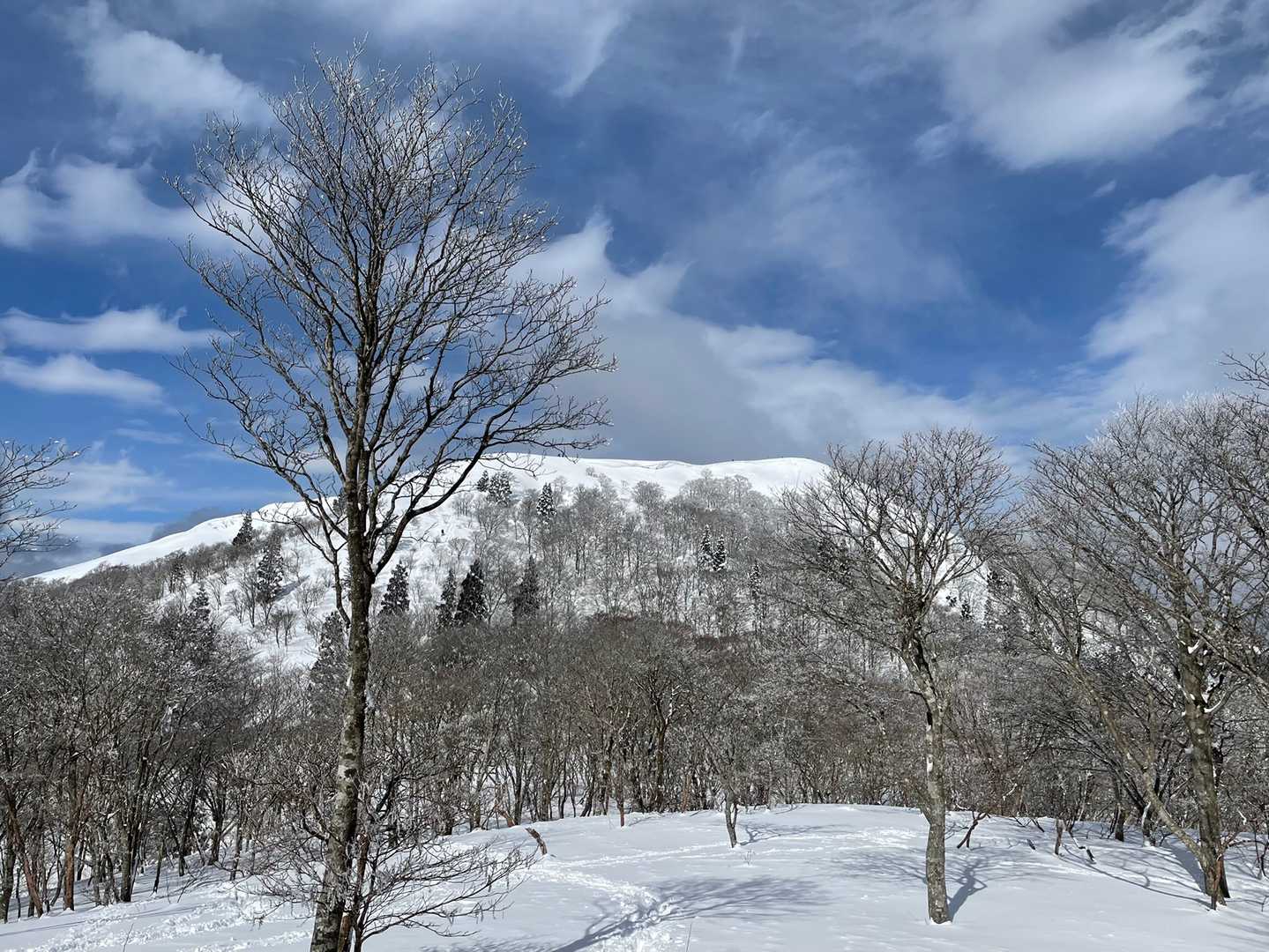 コヤマノ岳超えて武奈ヶ岳手前では雲もずいぶん取れてきました！
