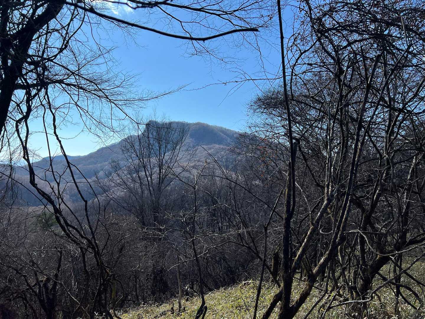 目指す鼻曲山は遠い(｀ｴ´*)ﾄｰｲﾖ
しかし面白い形の山だ✨✨