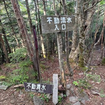 時間に余裕があったら是非