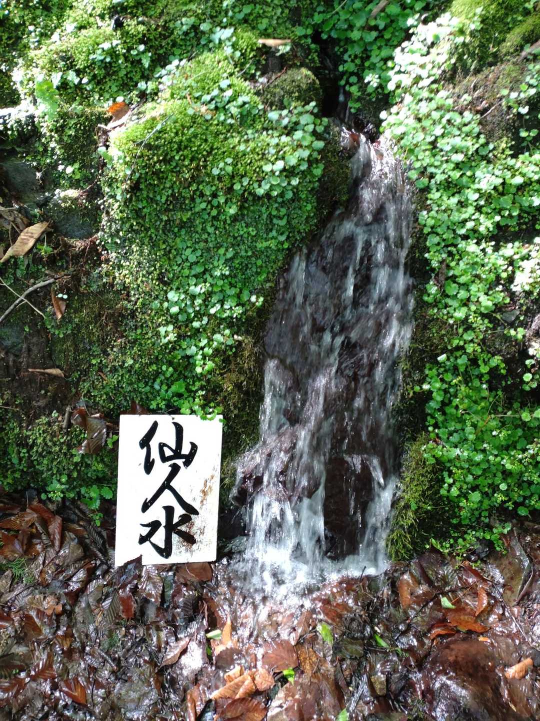 登山途中に仙人水。　
水が冷たく気持ちいい✨
この先から登山道、急になります
