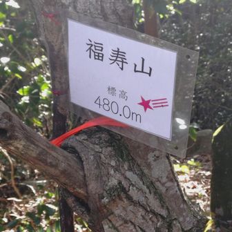 名前がいいな👍