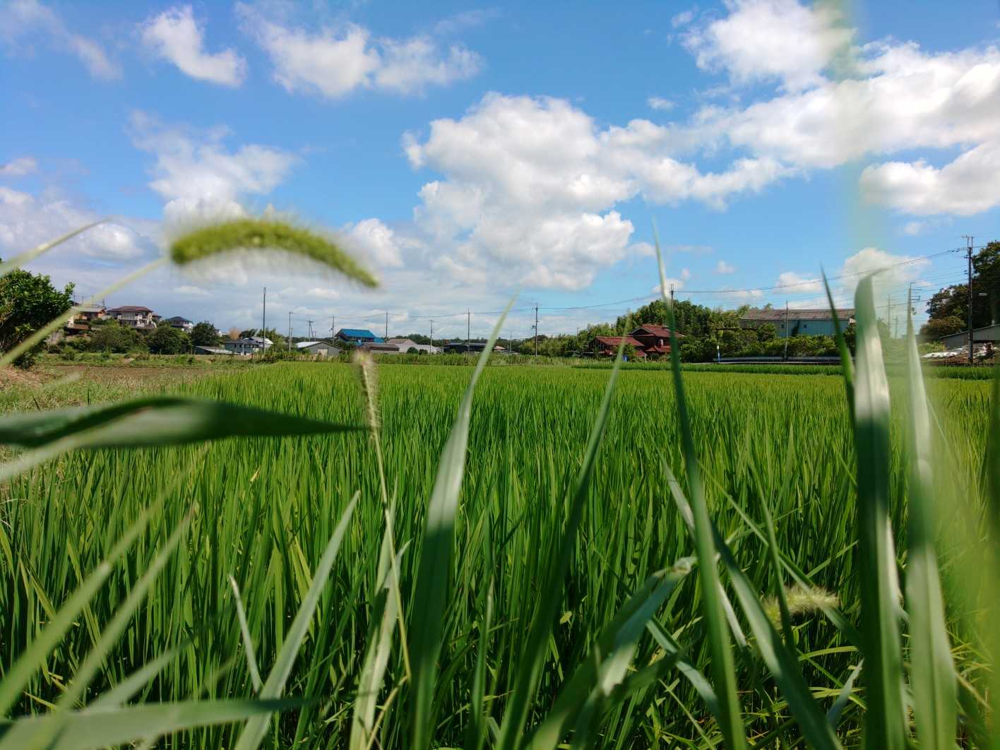 雌岡山-雄岡山登山口-雄岡山 周回コースの写真