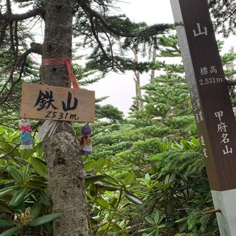 鉄山は分岐を見逃すと通過してしまうので
気をつけて歩きました。標高　2531m