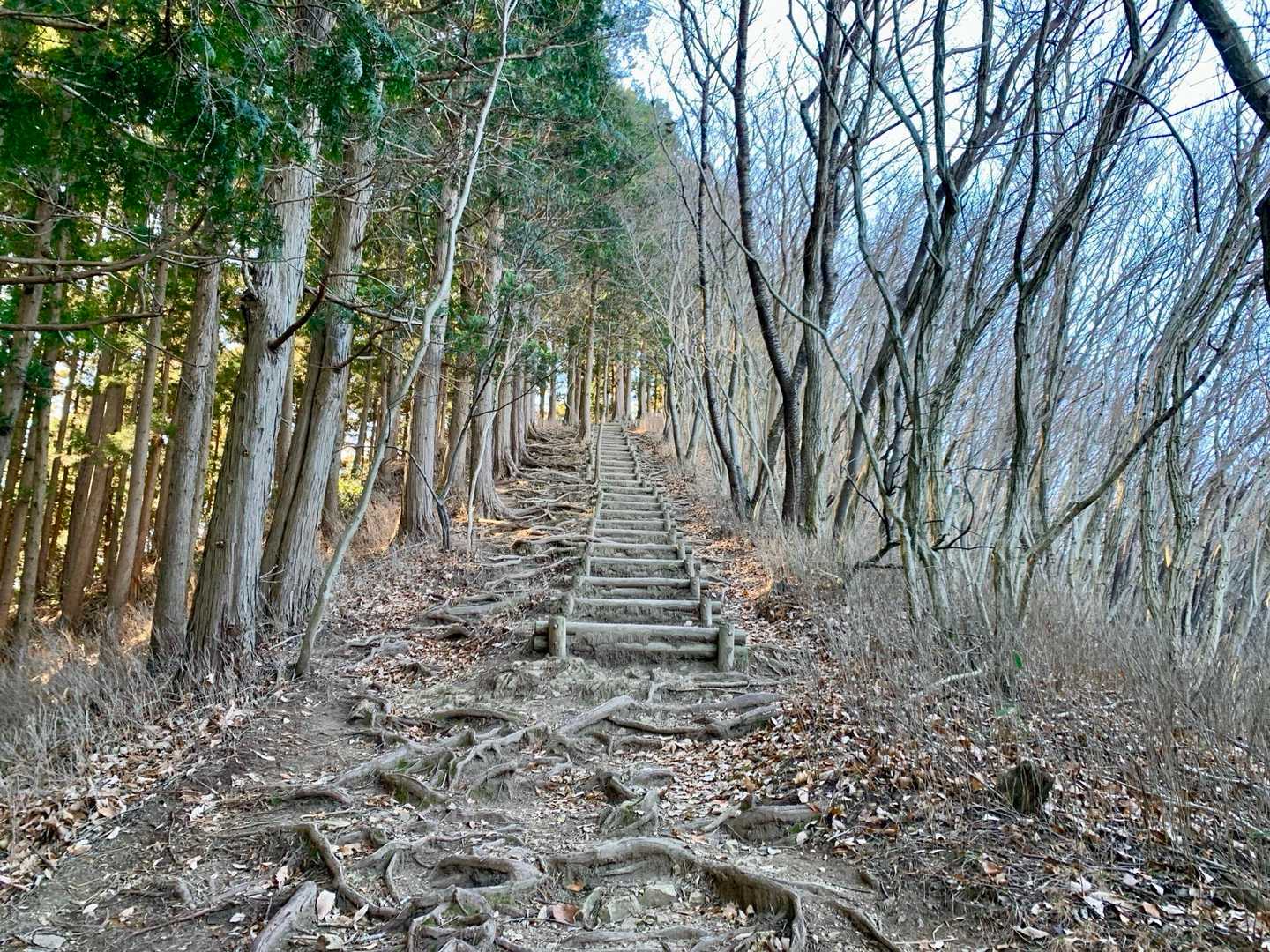 吾妻山入り口-吾妻山登山口-吾妻山-岩木戸山-萓野山 往復コースの写真