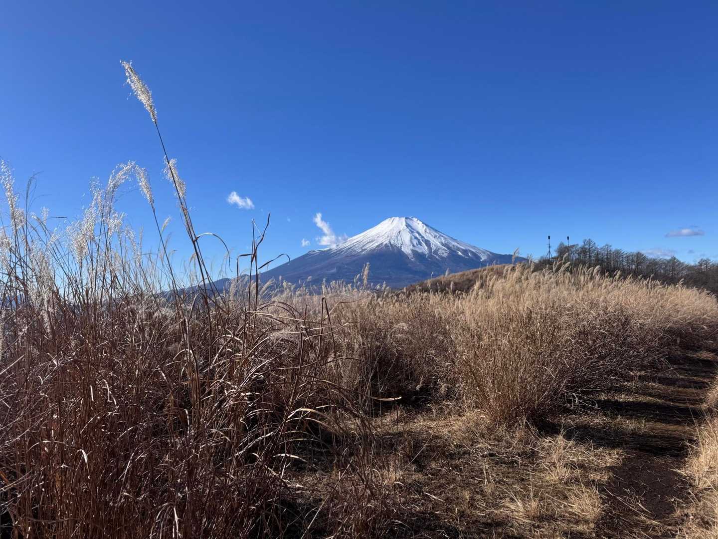 富士山を見ながらハイキング🥾🗻✨
気持ちいい💙