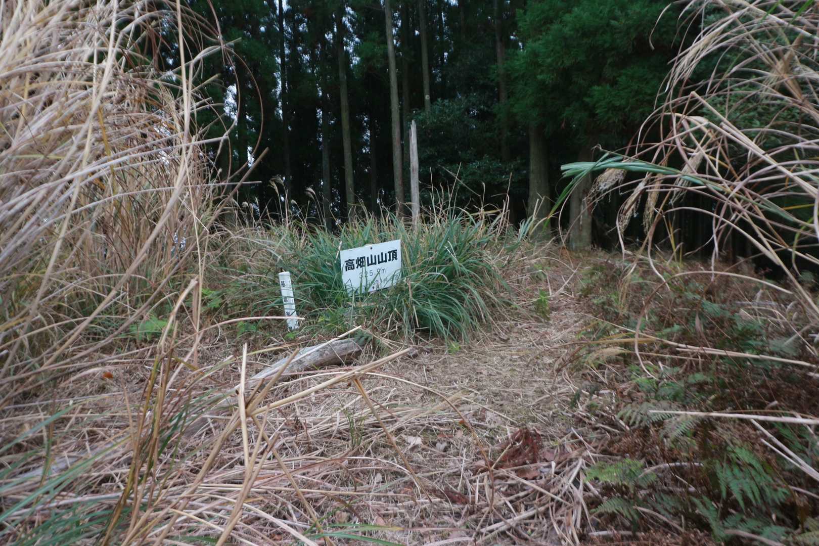 高畑山山頂✨ 大了寺の人々も山登りしていたんでしょうね😊