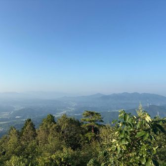 あらまー。