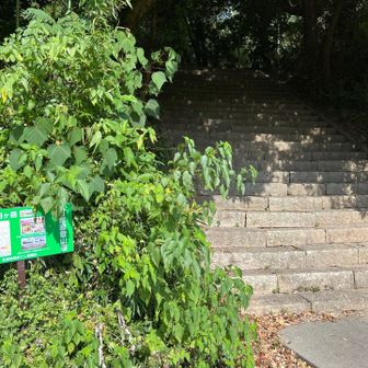 塚原登山口と天徳寺登山口の中間の塚原駐車場を利用しました。
どちらの登山口にも500m弱の距離です。