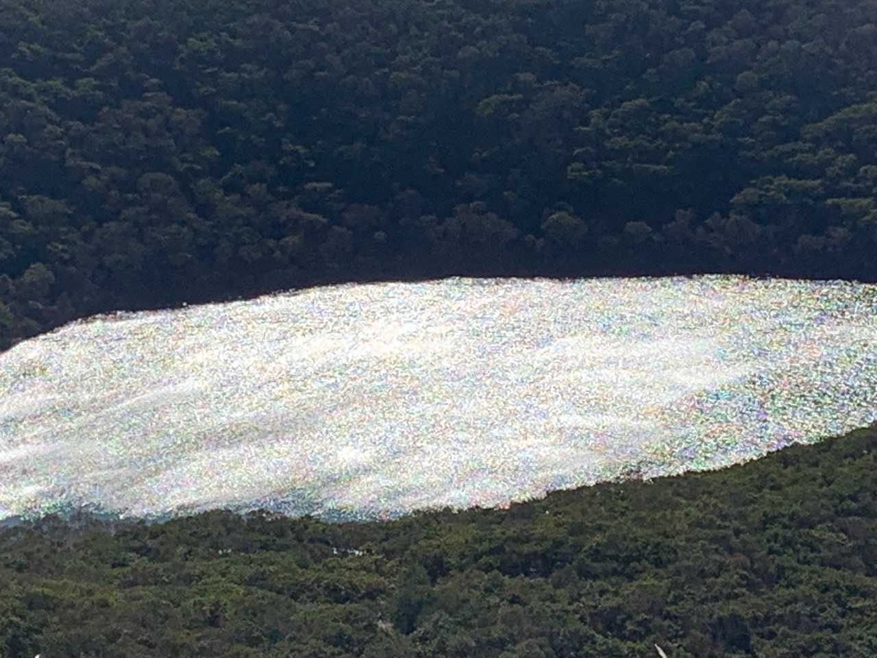 小沼が光りまくってます！