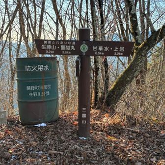 戻って熊倉山方面に行ったが、結構下りそうなので引き返し（30分程度で3ピークあったが、本日の目的地は先なので）