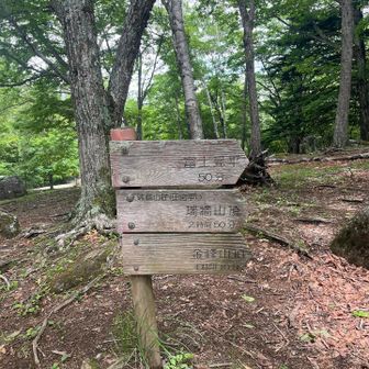 ここから登山開始です！