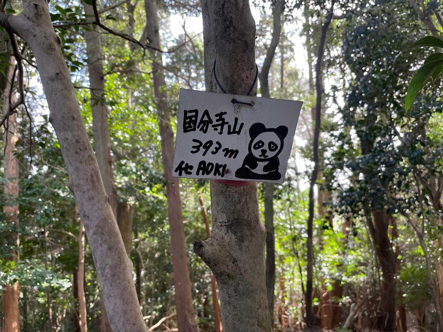 国分寺山
イセAOKIさん、お久しぶりです🤭