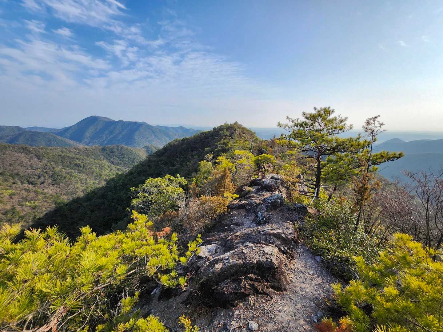 山口登山口-大坂山 周回コースの写真
