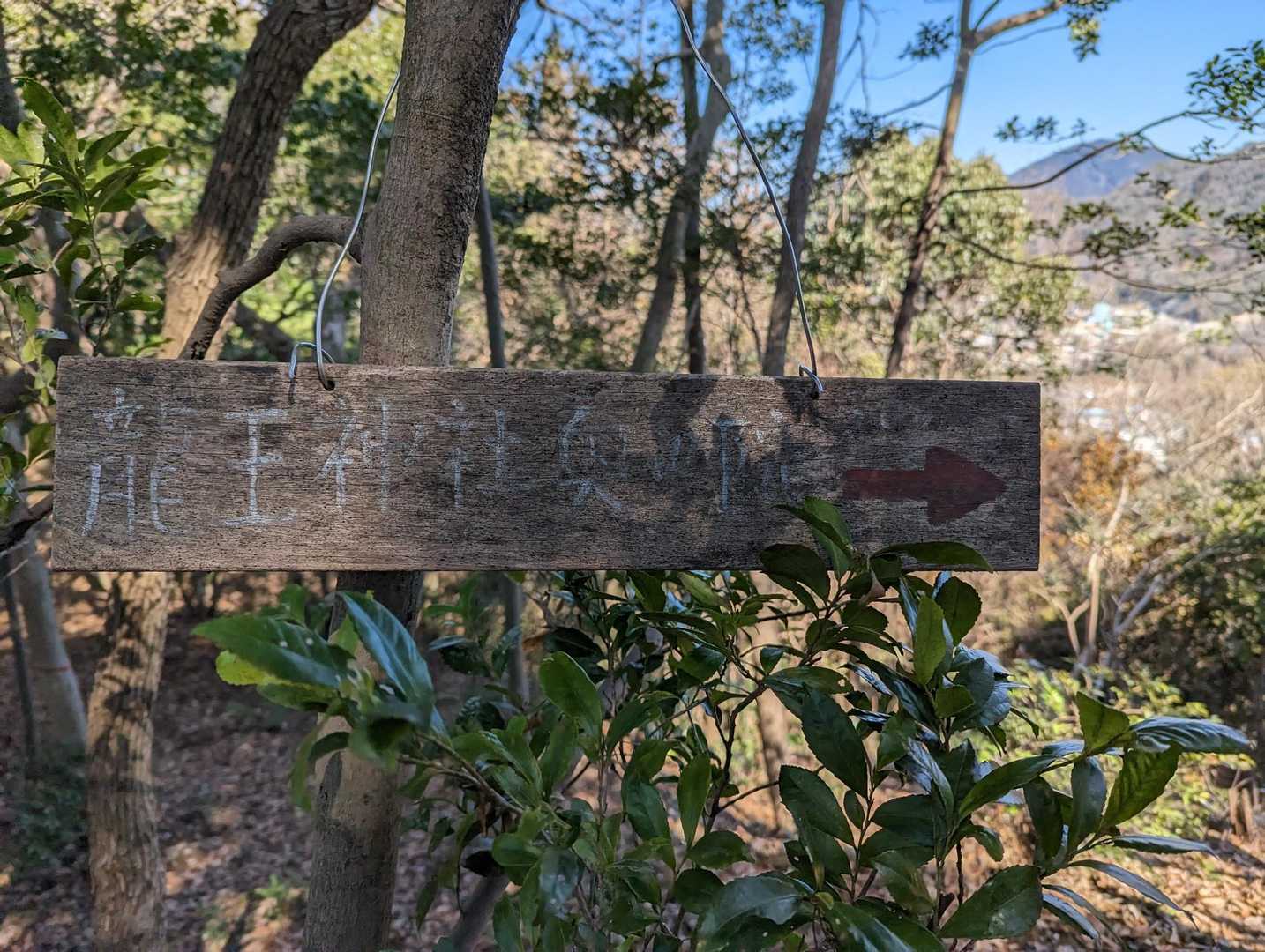 龍王神社の奥の院と書かれています