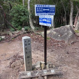 根ノ平峠到着