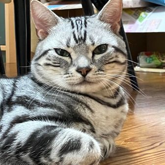 レオレオ壱番館