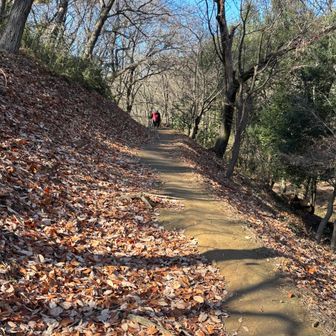 あれ？どこ行った
まさか真っ直ぐ行ってないよね？

見えた見えた
よかった
赤黒パンダ🐼😂