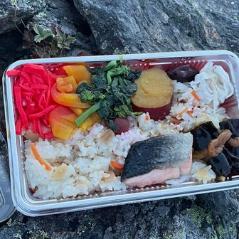 ここでお弁当。とってもおいしい！しょっぱいのと酸っぱいのと甘いの。でも食べきれず半分は後で。
結局農鳥で1/4と大門沢降下の途中で残りを完食。
食べ物が喉を通らなくなって、足に力が入らないから無理やり食べた感じ。ハンガーノックになったら怖い。