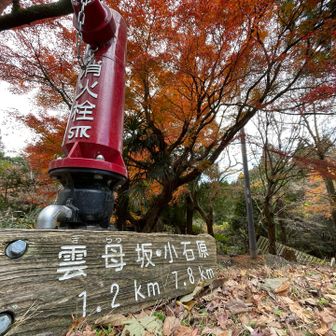 駐車場のちょっと先、雲母坂への標識。
大好きな英彦山は今後もっともっと深掘りしたいと思っています🤭ここもいずれ…