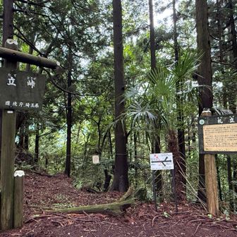 札立峠