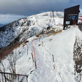 尾根に出ました
この付近は打見山のようです