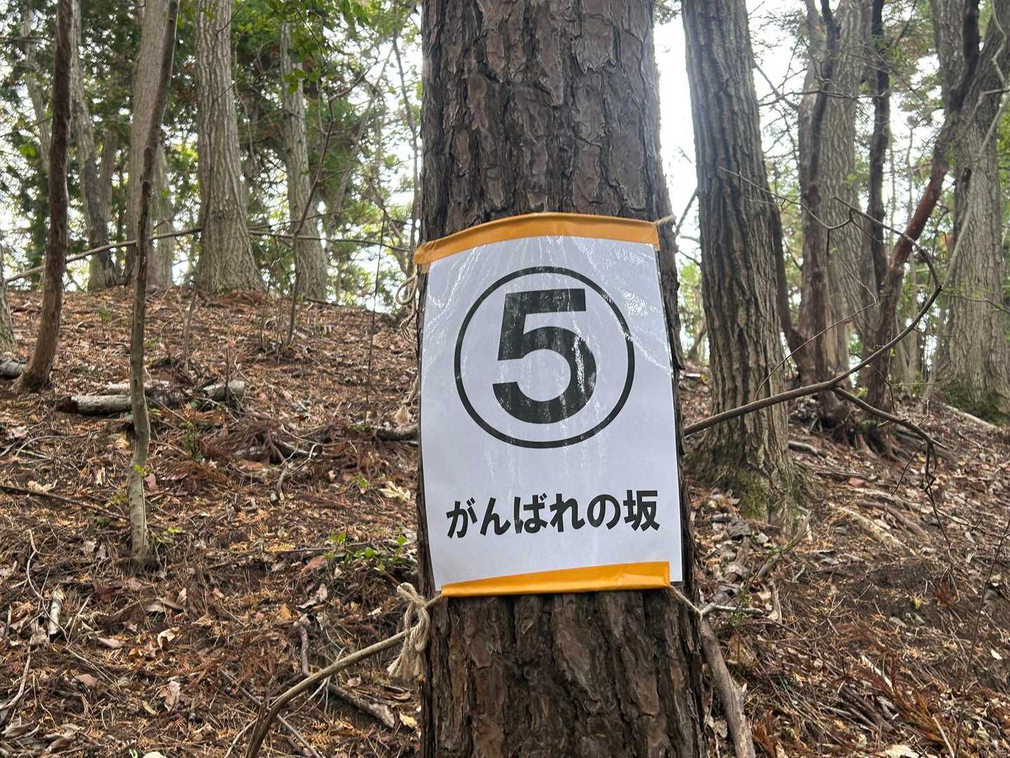 ⑤がんばれの坂
この辺りは急登が続きます....