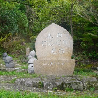 いろんなどんぐりがいます