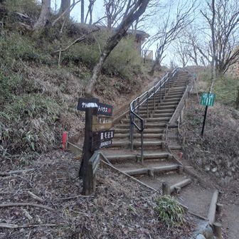 ヤビツ峠からスタート