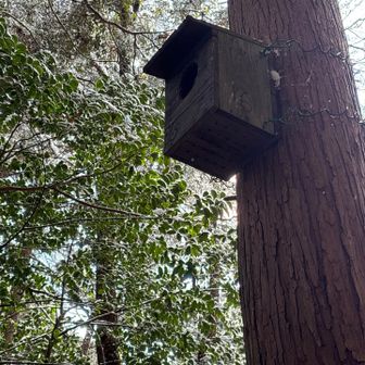 朝はいたらしいのに…💧