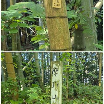 結構迷いやっと着いた、摩頂山
