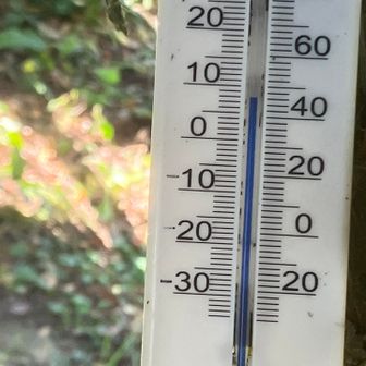 8℃