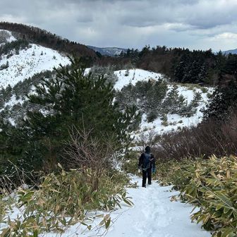 トレースおじさん