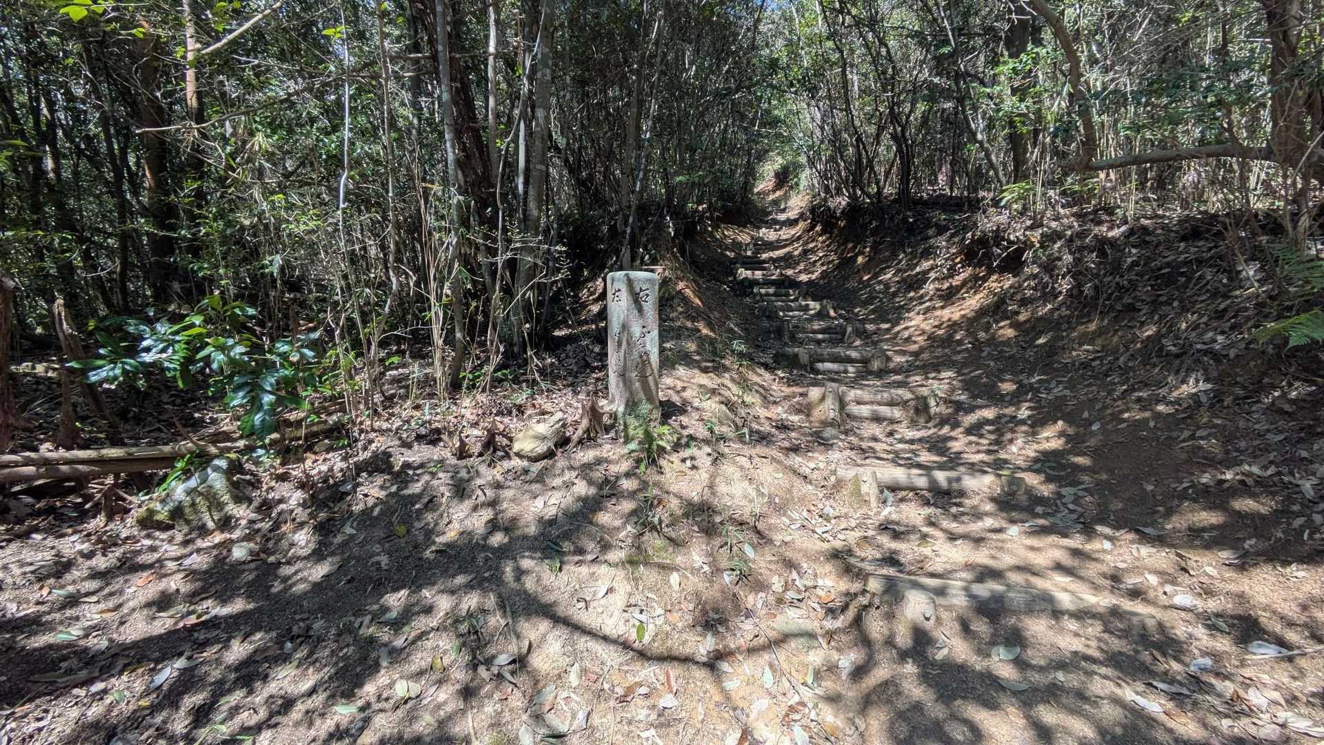 荒谷山-荒谷山 往復コースの写真