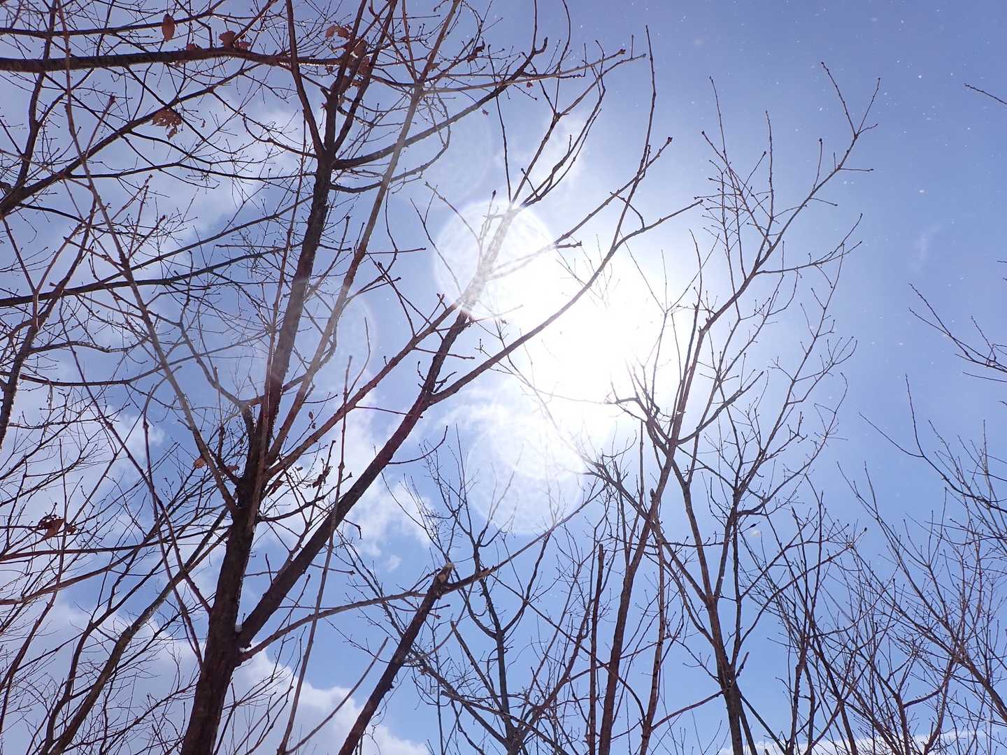 下り始めると太陽が顔をだす😂
真ん中のたくさん見える円は何だろう？🤔