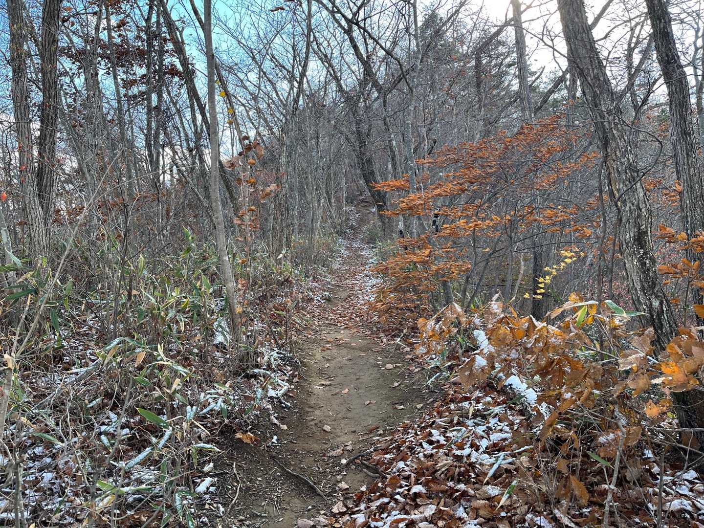 夜は雪予報だったのに起きたら晴れてた☀️
でも蕃山にはうっすら雪が😙