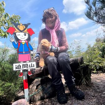 可愛い看板