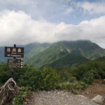 谷川岳に来たみたいな標識…
その谷川岳山頂は雲隠れ