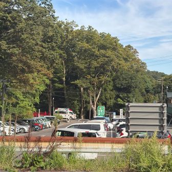 平日でしたが駐車場もいっぱい