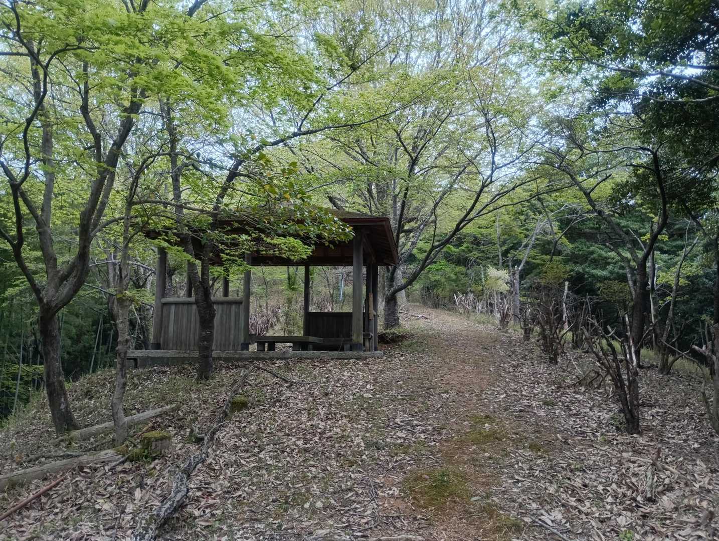 穏やか路線✨